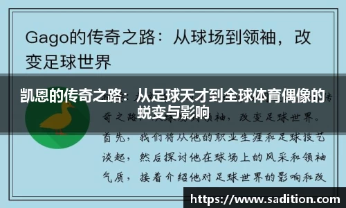 球速体育官方网站